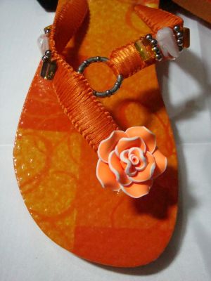 Chinelos Tipo Havaianas 