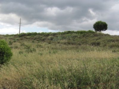 TERRENO RÚSTICO/ PARA VENDA/ PORTIMÃO/ REF:1363