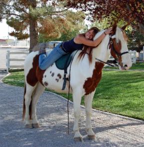 meu cavalo é muito bonito e pronto para se encontrar uma nova família e amoroso