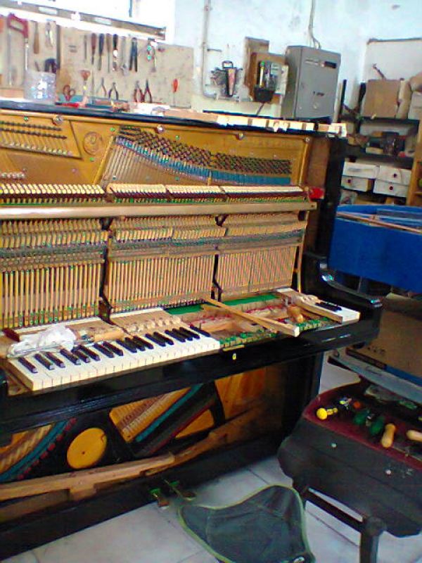 Afinador técnico especialista de pianos