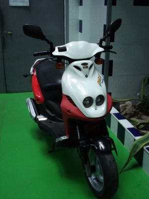 PGO PM X-50