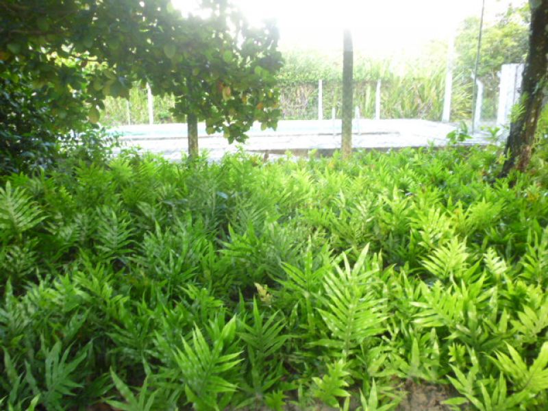 Imóvel no Brasil pra investidor inteligente