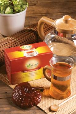 Bebidas Enriquecidas com Ganoderma Lucidum ( o rei da medecina natural )