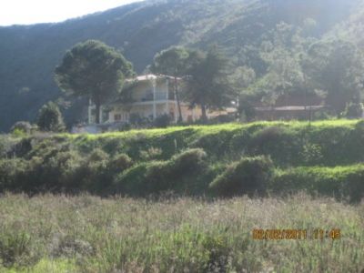 QUINTA P/ VENDA NA ZONA DE SILVES/ REF: 1353