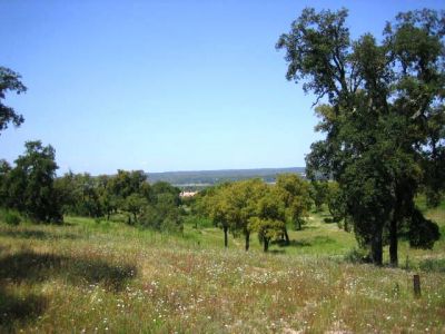 Bela herdade - excelente localização