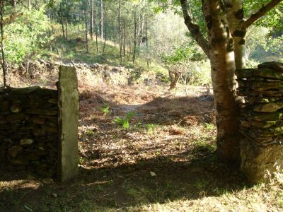Terreno Junto Rio Âncora - Facilidades de Pagamento - Preço € 48.000,00