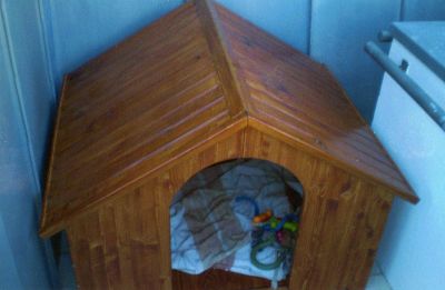 casotas para o seu animal de estimaçao em madeira