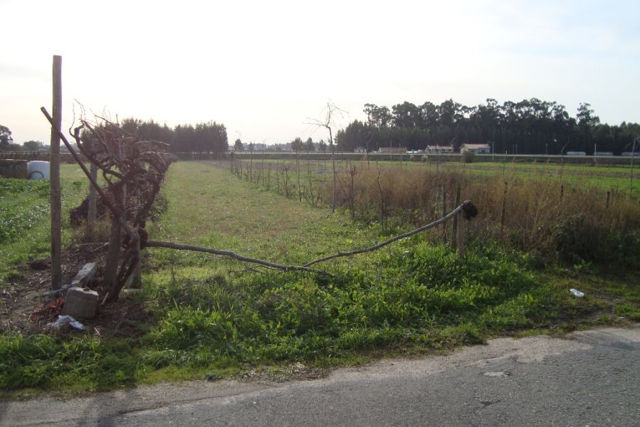 Terreno de construção