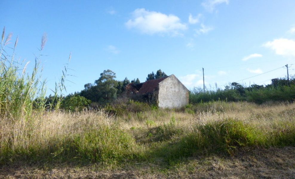 Terreno com 2 artigos, um urbano com moradia em ruínas e outro rústico com o total de 4921 M2.  A 3 