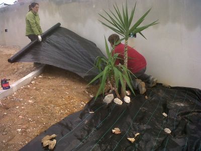 Jardinagem em Santa Cruz / Torres Vedras