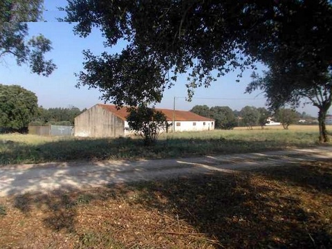 Terreno com 2 artigos, um rústico e outro urbano. A poucos minutos da Benedita. Com área de 630 m² c