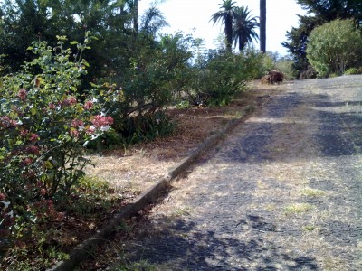 T1 - Moradia em Barreiros 