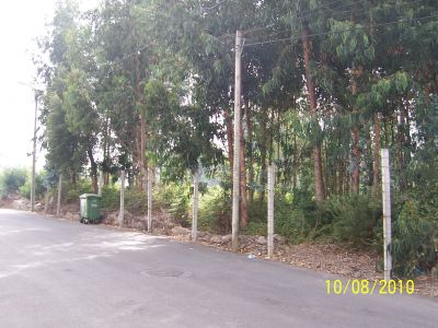 SERZEDO VNG (Zona Industrial Lugar Fontes)