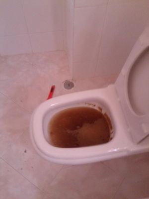 desentupimentos lopes.biz