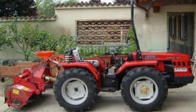 limpeza  de terrenos