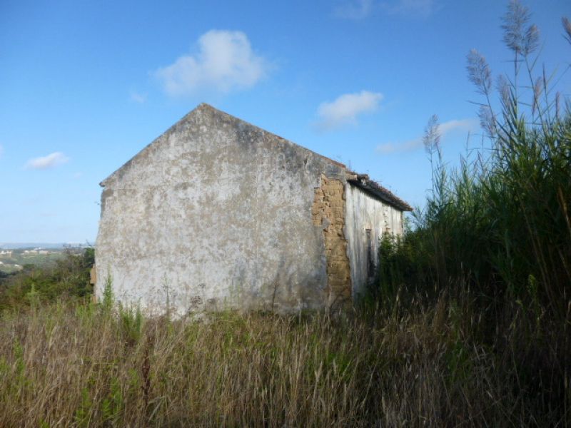 Terreno com 2 artigos, um urbano com moradia em ruínas e outro rústico com o total de 4921 M2.  A 3 