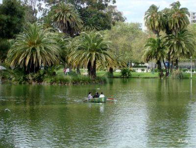 Quartos Raparigas - Cidade Universitária - LISBOA
