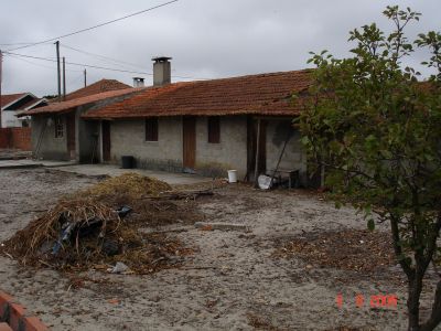 Terreno na Lentisqueira à Venda 