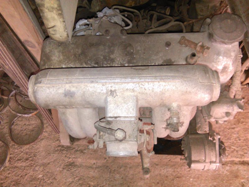 Mercedes Rabo De Peixe