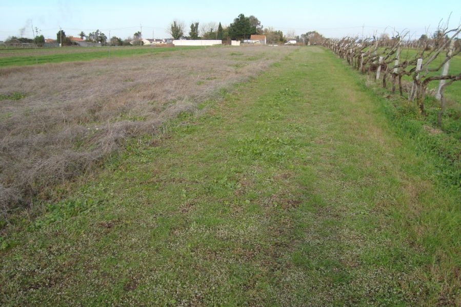 Terreno de construção