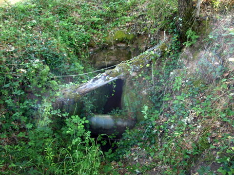 Na Costa de Prata terreno com 2 artigos. Rústico com 3880 m² e um urbano, com ruina registada com ár