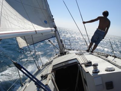 Curso de PATRÃO LOCAL