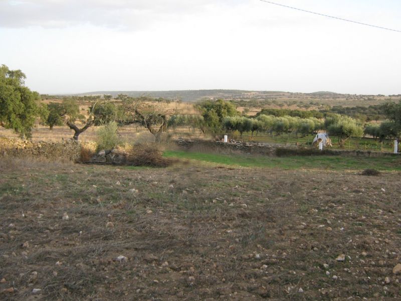 Casa típica - para aluguer férias ou ano inteiro