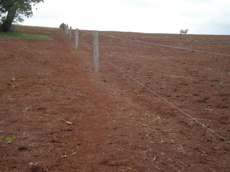 Propriedade Rural 24.2 hectares em Goias no Brasil