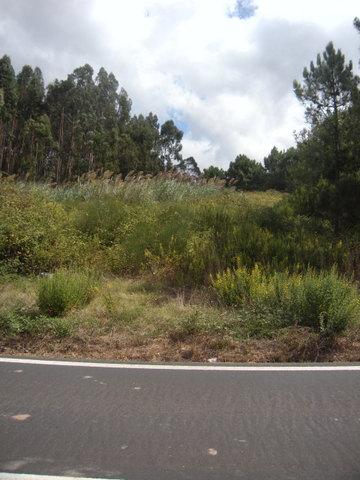 Terreno com 3.100m² e viabilidade de construção para uma moradia.  Inserido na malha urbana, em espa