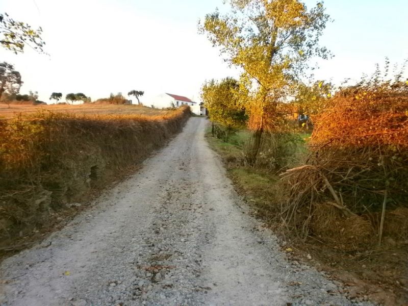 Monte no Cercal com Viabilidade