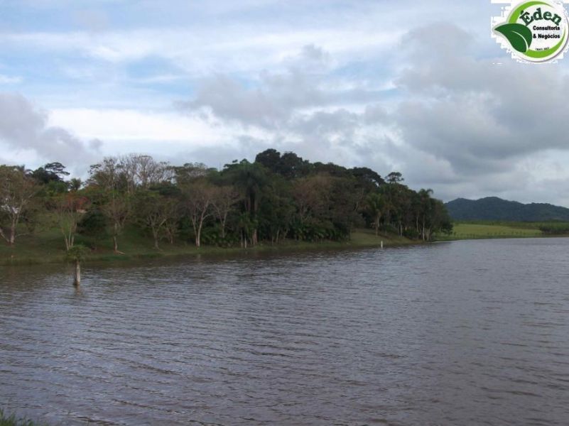 Fazenda pecuária e pupunha com casa de alto padrão, Vale do Ribeira, São Paulo.