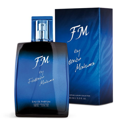 Incremento dos Seus Rendimentos com a FM World Portugal