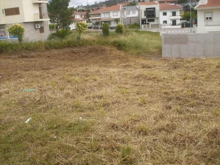 Terreno p/ construção Sobrado Valongo