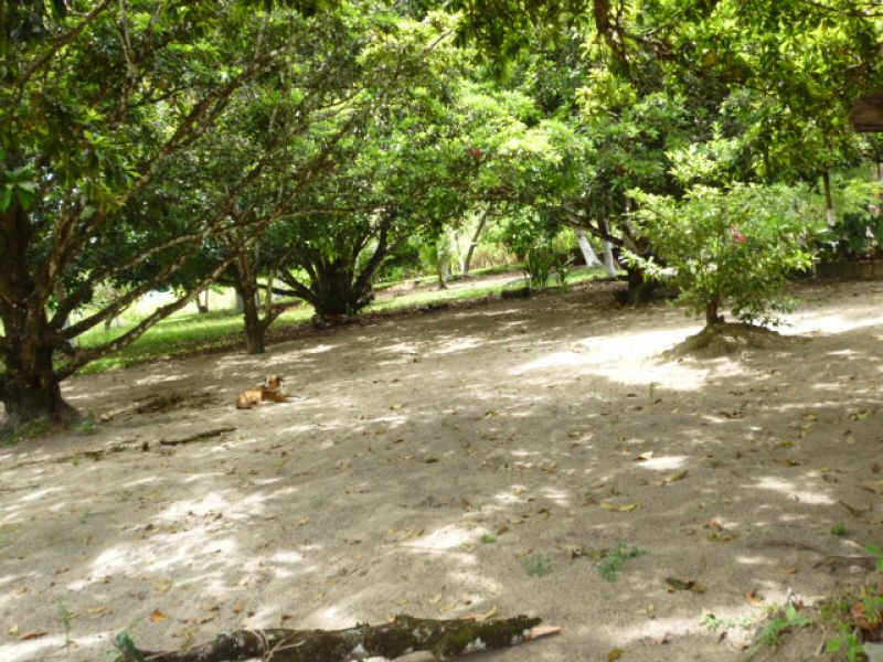 Plot Eldorado in Goiana/Pernambuco/Brazil