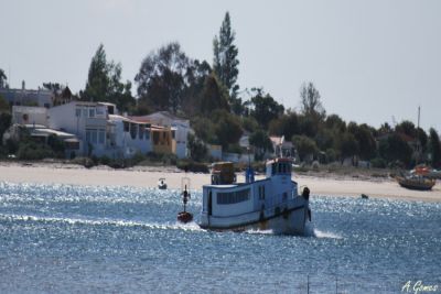  ALGARVE  ilha da armona  T3  P/férias/fins de semana, três minutos da praia