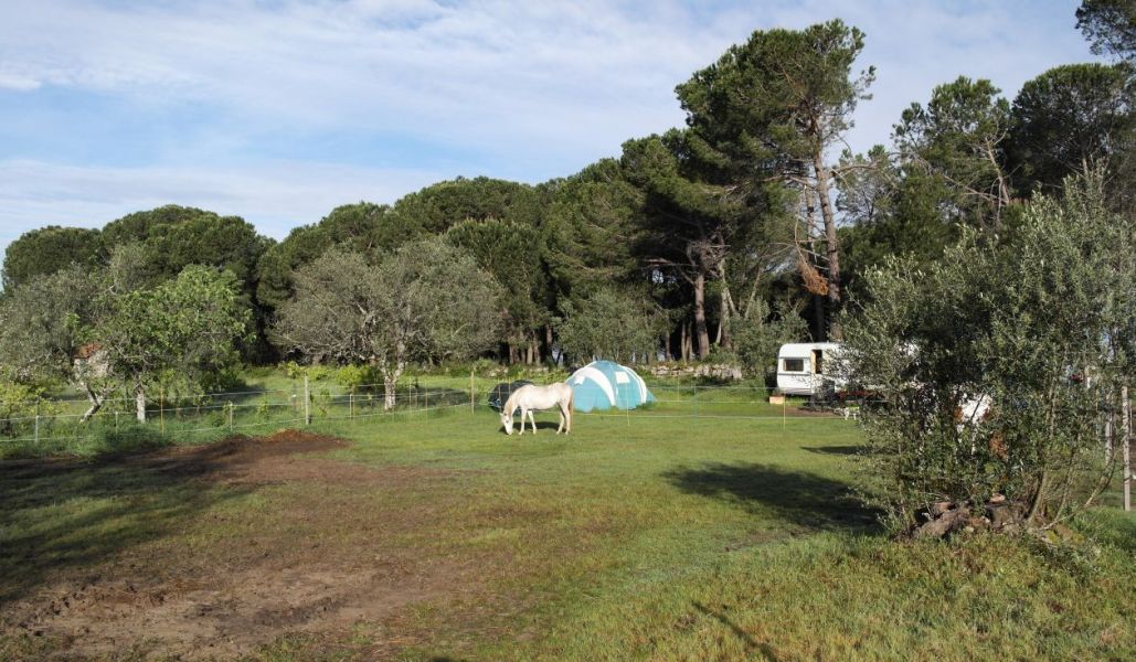 Quinta 6527 m2 para construção 3405 Andorinha OdH