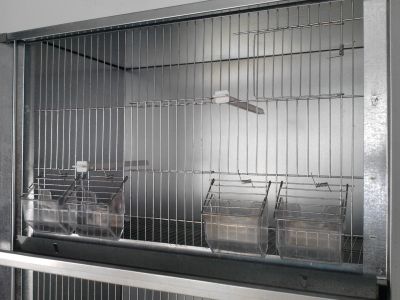 VIVEIROS EM ZINCO - OPTIMO PREÇO - COMO NOVOS - (DESISTENCIA)