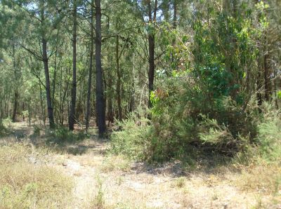 Terreno Urbano   4 186 m2