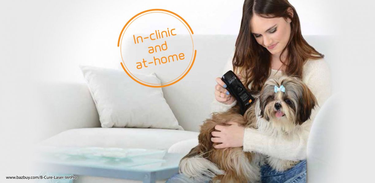 B-cure Laser - Veterinary medicine