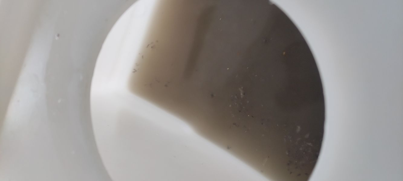 Serviços de limpeza 