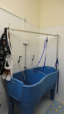 loja para animais Oeiras