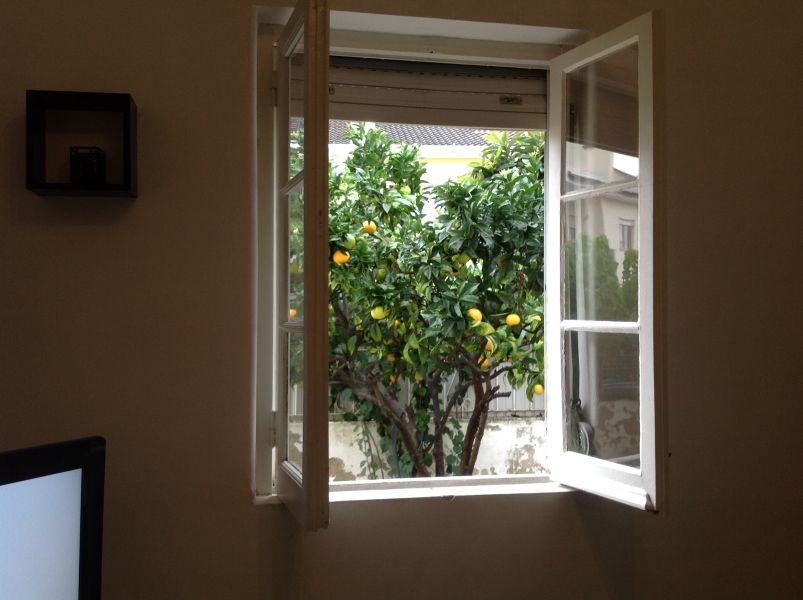 Vivenda com quintal penedo são domingos de rana