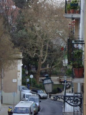 Mobilado e equipado à Praça das Flores