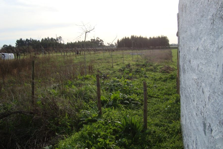 Terreno de construção
