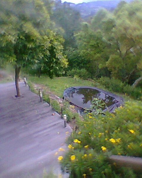 Casa de féfias e fins de semana