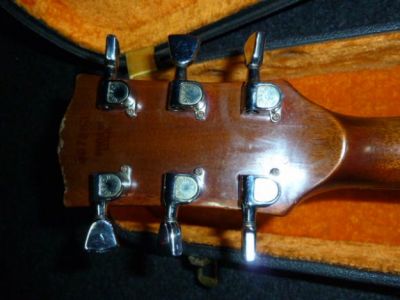 Gibson Fender Line 6