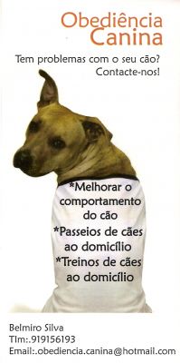 treino de caes ao domicilio desde 10€