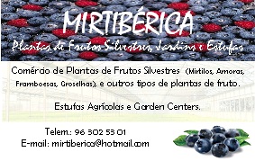 MIRTIBÉRICA – Plantas de Frutos Silvestres, Estufas Agrícolas/Garden Centers, Sistemas de Rega.