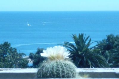 quartos em R/c de casa com jardim