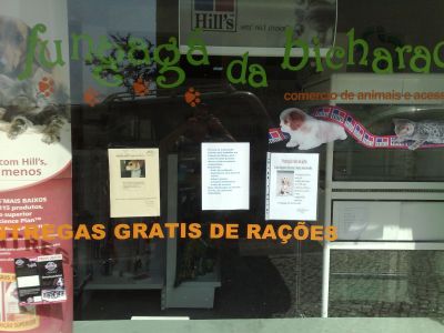 Loja ou armazém de logística só 299€